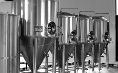 What Is an Industrial Fermentation Tank?