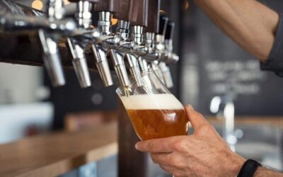 Everything you need to know about Draught Beer