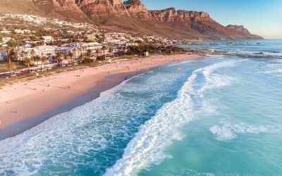 Exploring the Best Breweries Cape Town Has to Offer