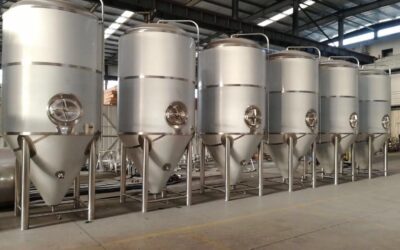 Choosing the Right Industrial Fermentation Tank