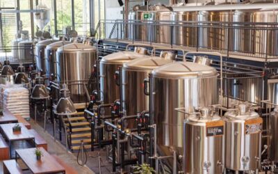 Starting a Brewery with A Complete Guide to Brewing Business Success