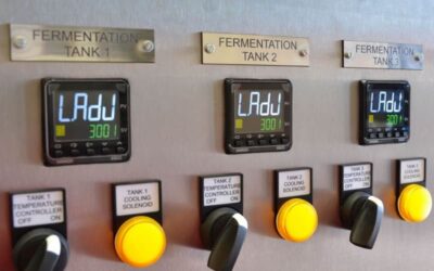 Why Temperature Controllers Are Essential for Perfect Fermentation