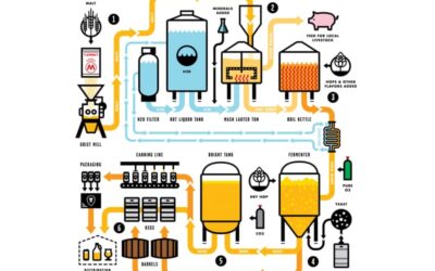 Everything You Need to Know About Equipment Used in Beer Production