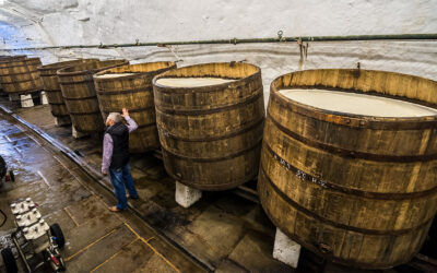 How Big Breweries Balance Speed, Scale, and Flavor with Commercial Beer Fermentation