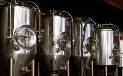 Choosing the Right Fermentation Tank Sizes
