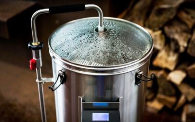 Simplifying the Brewing Process for Modern Brewers with an All In One Beer Brewing Machine