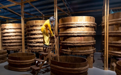 The Differences Between Fermentation and Brewing