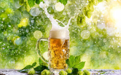 Eco-Friendly Brewing Systems