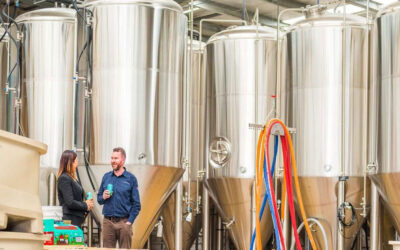 How to Choose Brewing Equipment